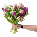 Bouquet of tulips purple